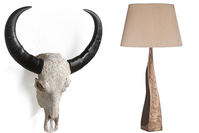 Ox skull and lamp