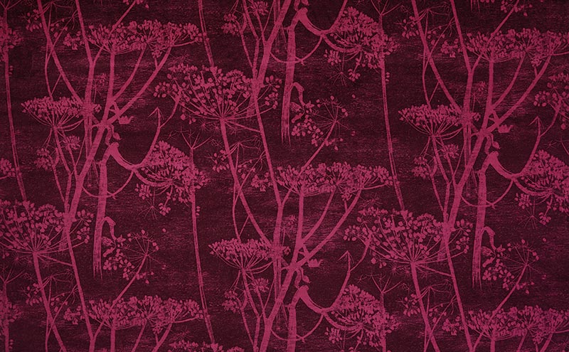 Cow Parsley velvet F111/5017, £145 per metre, Cole and Son 