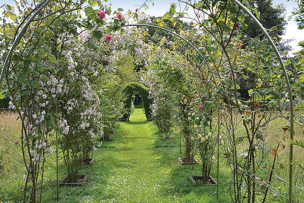 floral-archway-in-garden