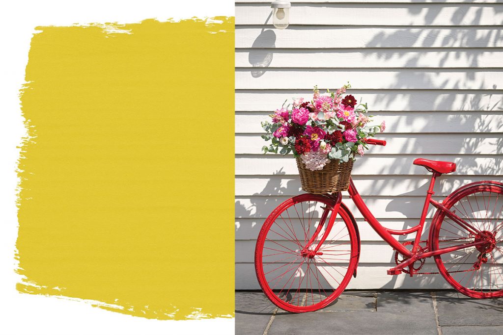 Annie-sloan-paint-and-red-bike
