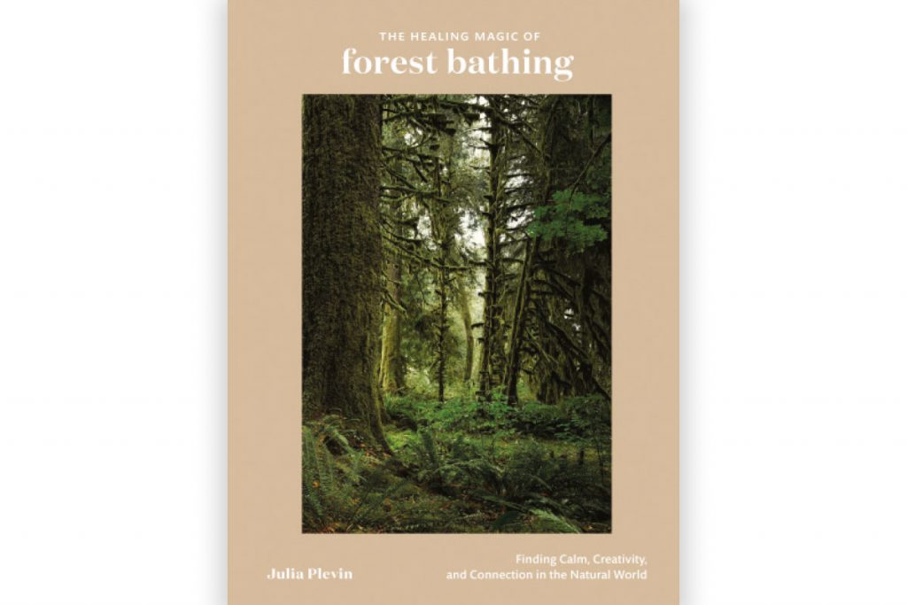 healing-magic-of-forest-bathing-